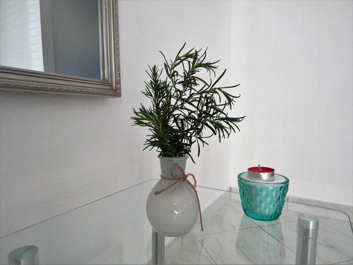 Apartments Kokor Vodice Dış mekan fotoğraf